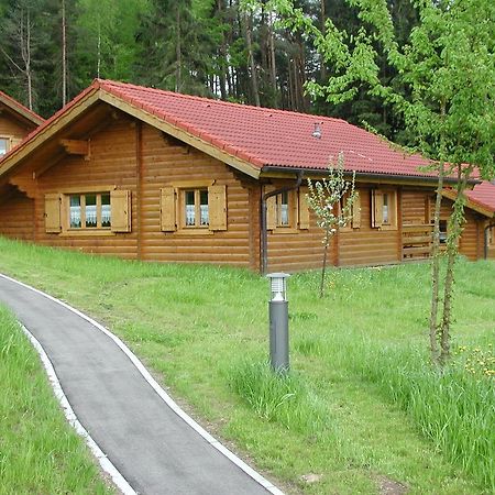 Blockhaus Bayerischer Wald Stamsried المظهر الخارجي الصورة