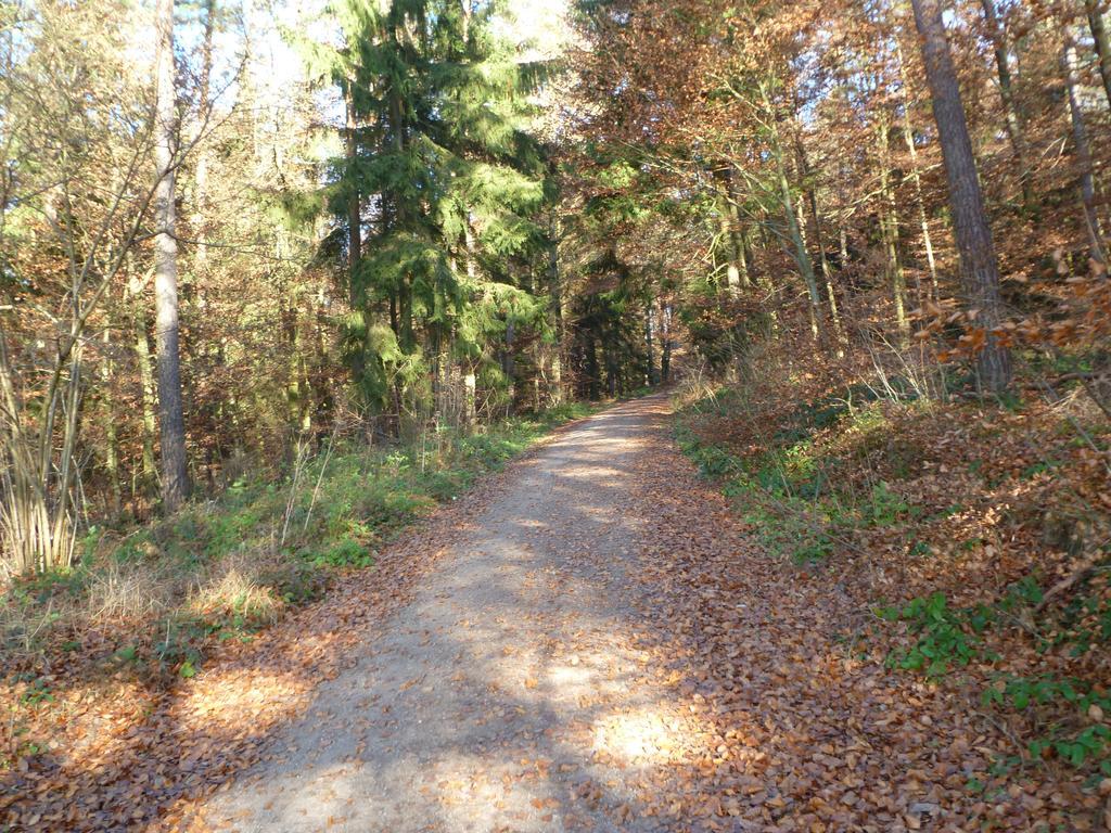 Blockhaus Bayerischer Wald Stamsried المظهر الخارجي الصورة
